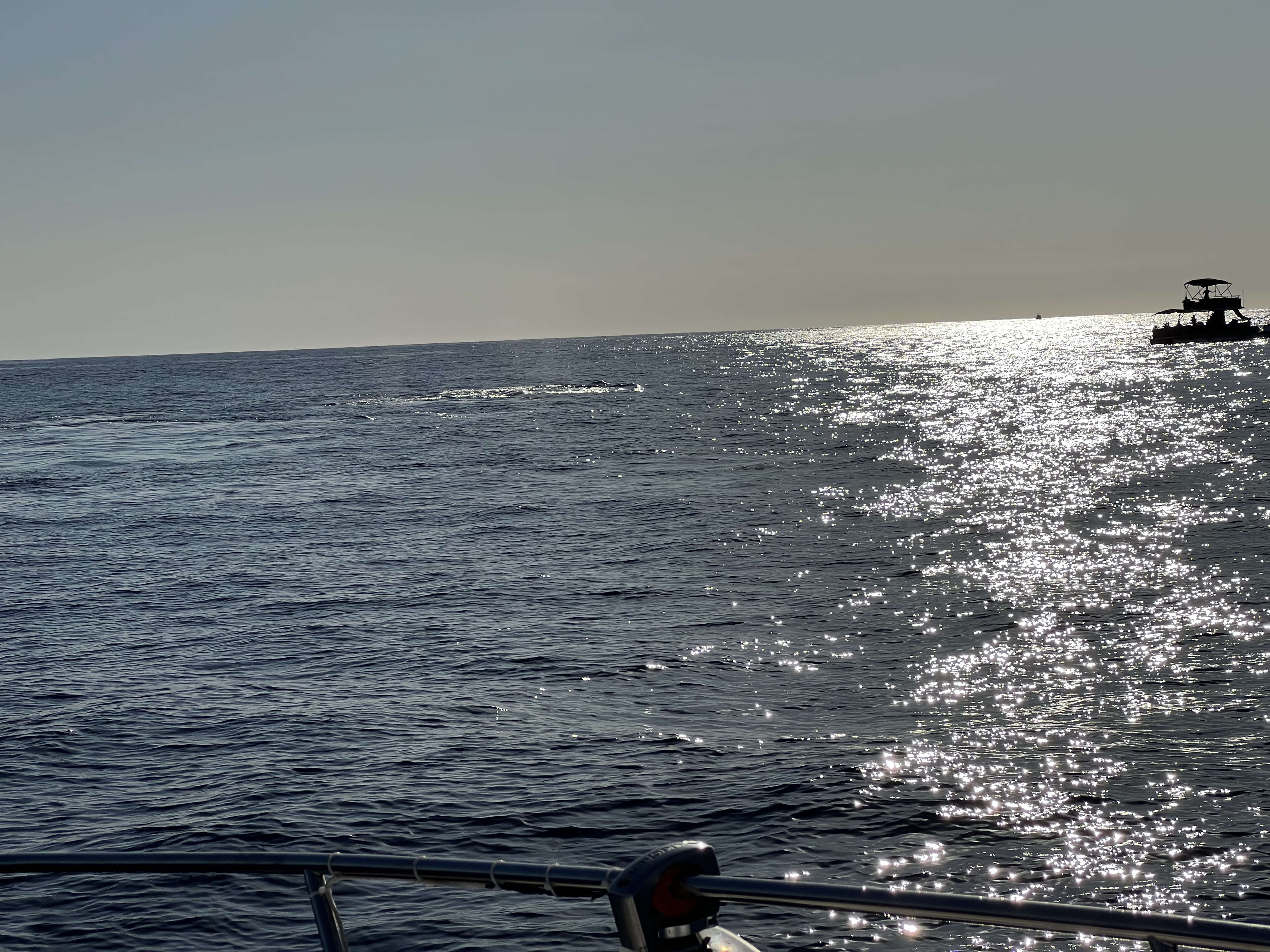 ./2024/13 - Cabo/IMG_4698.jpg